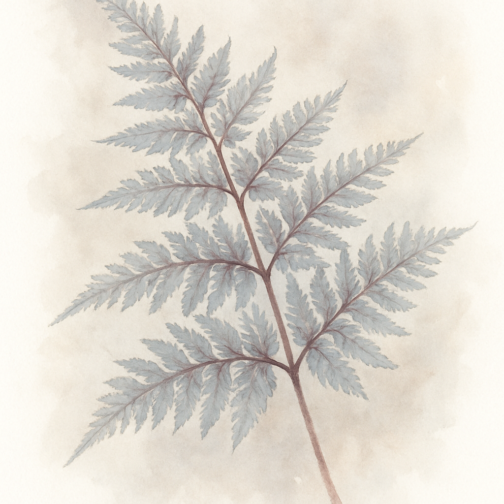 Athyrium Metallicum