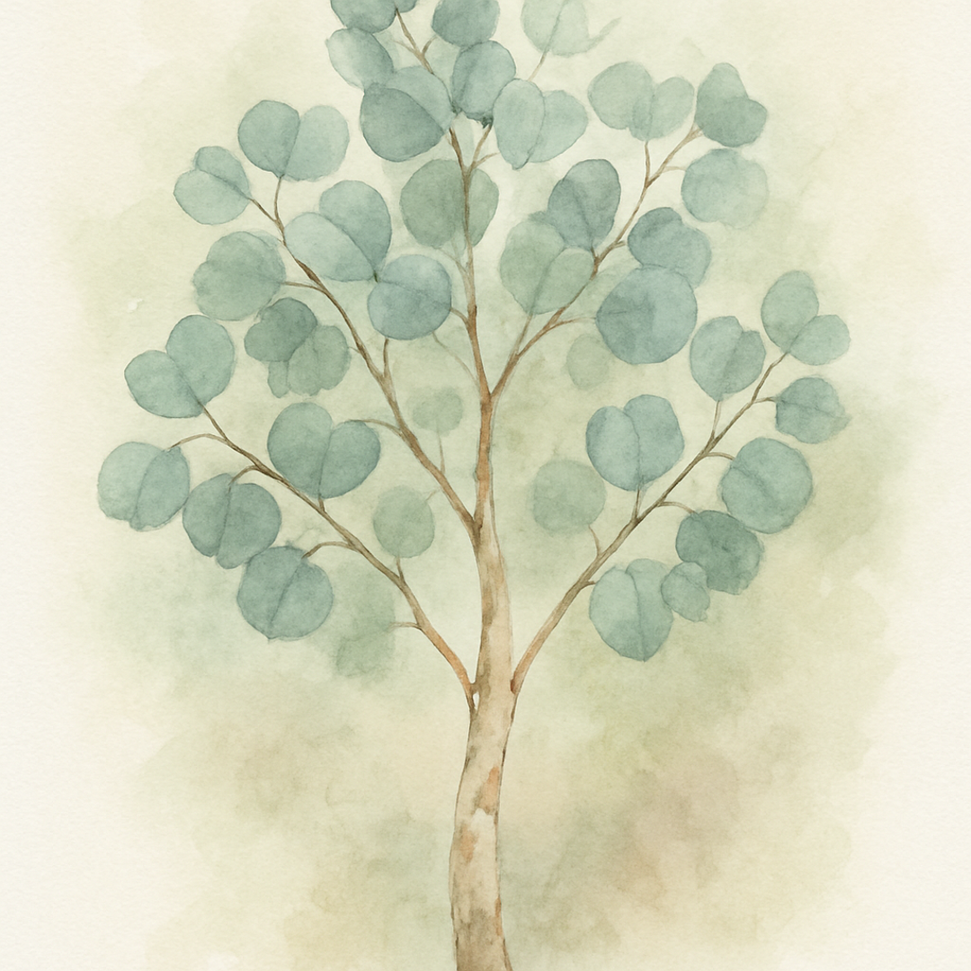 Eucalyptus cordata