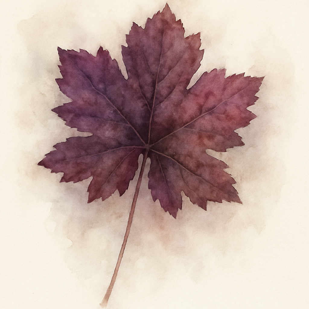 Heuchera Dales Strain
