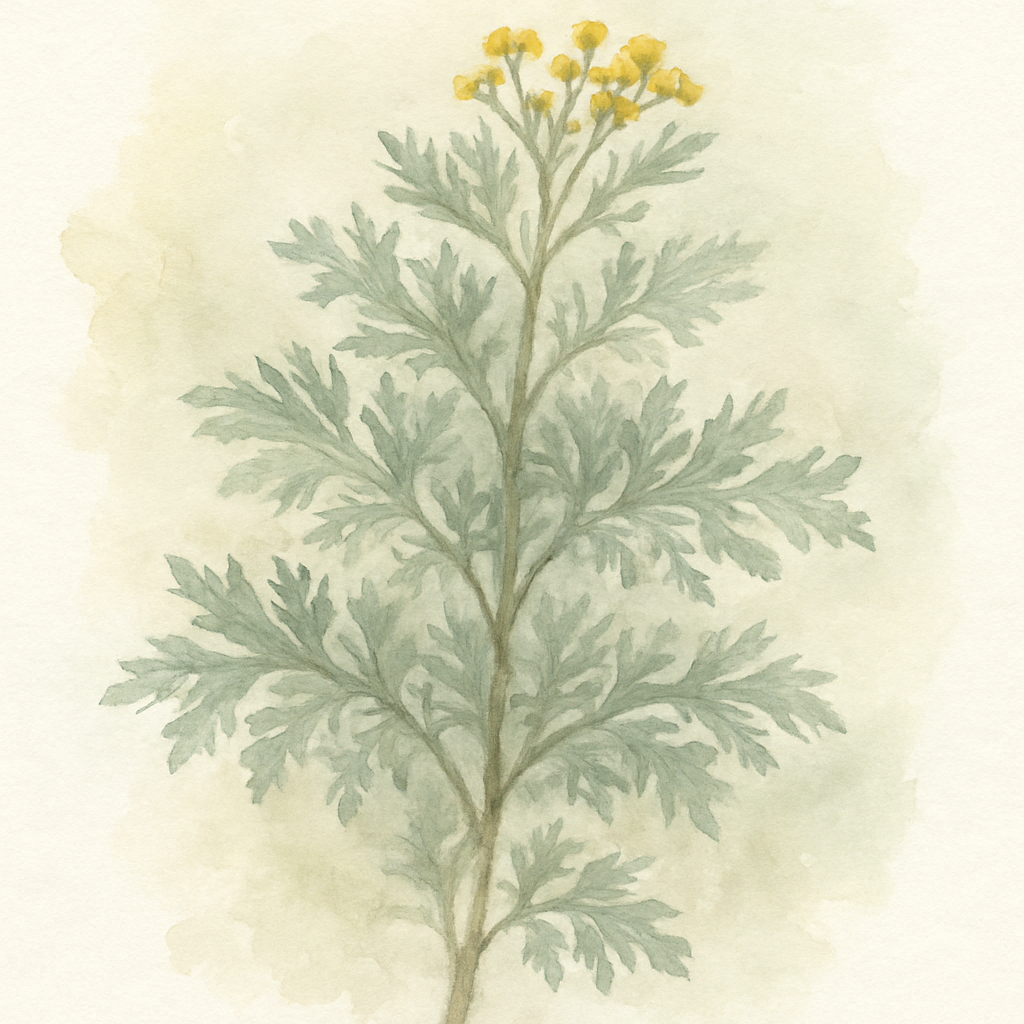 Wormwood